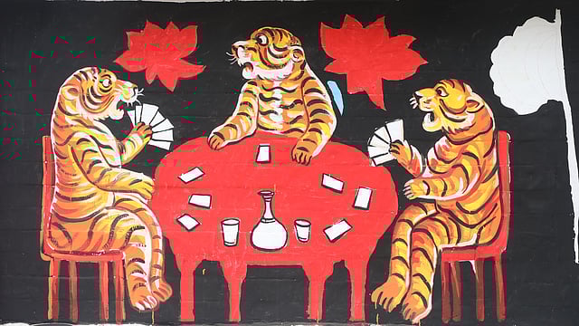 মানুষের বদলে তাস খেলছে বাঘ।