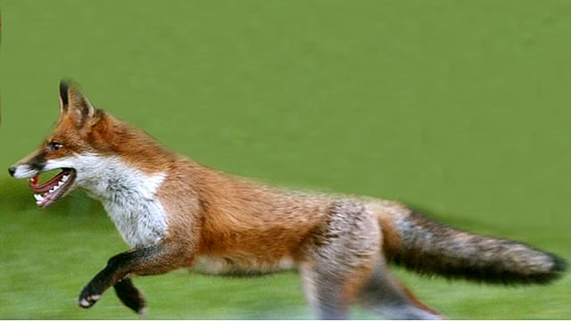 প্রতীকী ছবি