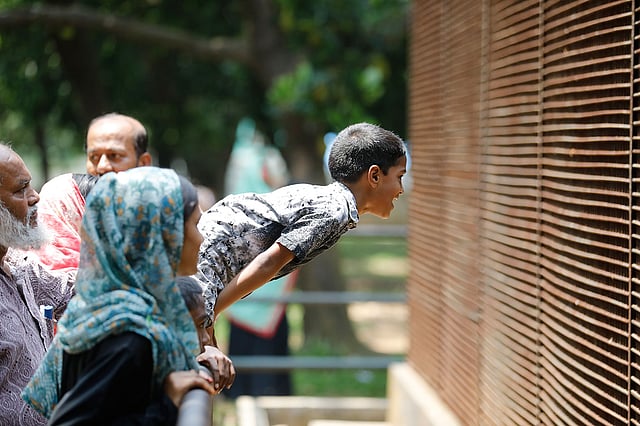 ময়না পাখি দেখার আপ্রাণ চেষ্টা