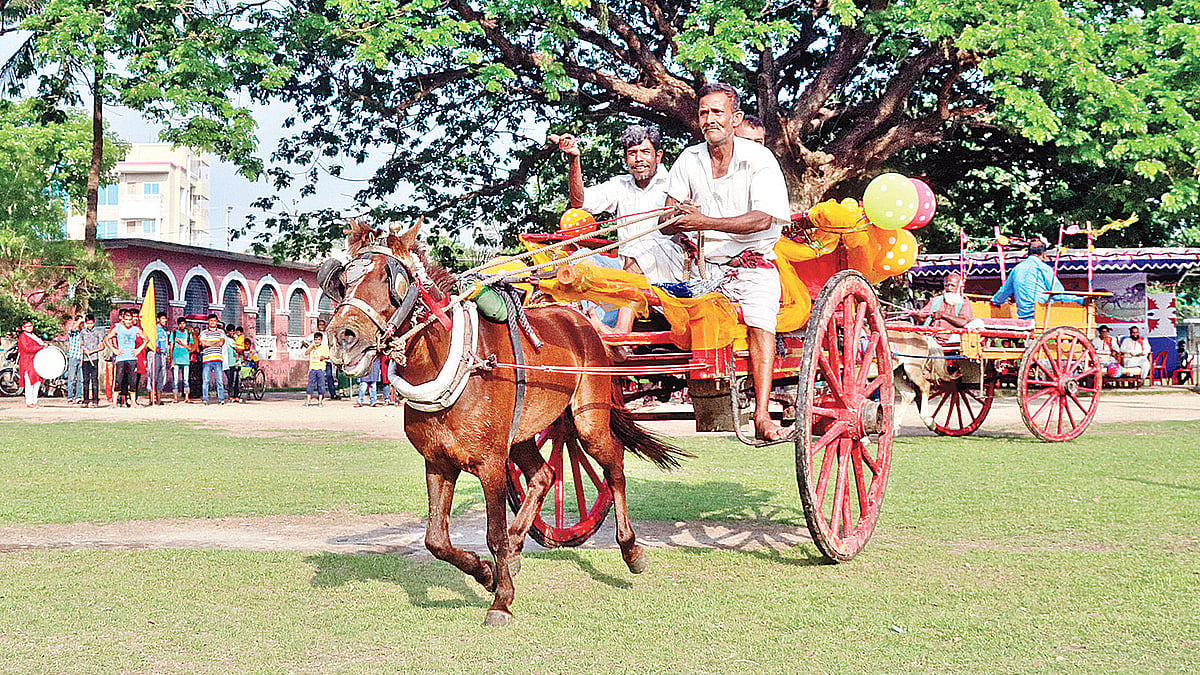 মাদ্রাসামাঠে গতকাল বিকেলে ঘোড়ার গাড়ির দৌড় প্রতিযোগিতা।  ছবি: প্রথম আলো