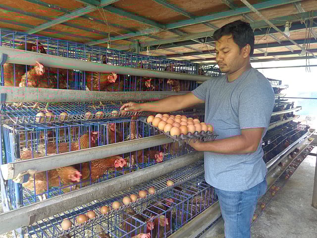 নিজের খামারে আনিচ মোর্শেদ। ছবি: ইকবাল হোসেন