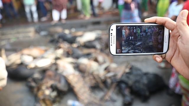 ছাগলগুলো পুড়ে গেছে আগুনে। মৃত ছাগলগুলোর ছবি তুলছেন একজন।