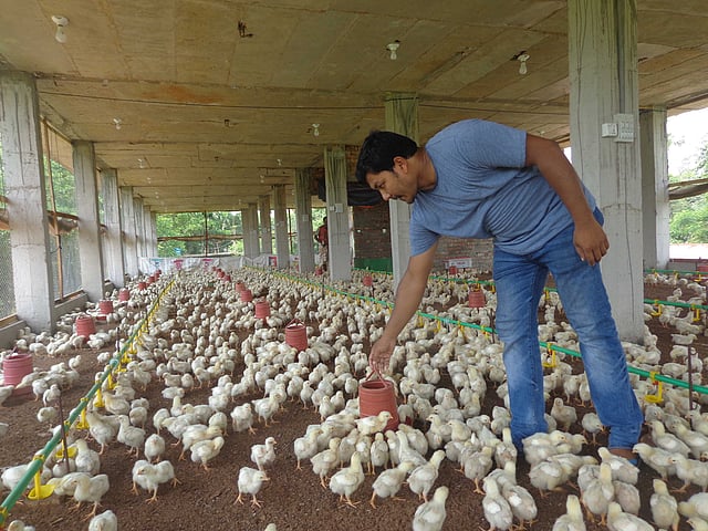নিজের চেষ্টায় এখন সফল আনিচ। ছবি: ছবি: ইকবাল হোসেন
