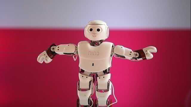 নেচে দেখাচ্ছে হিউম্যানয়েড রোবট নিনো।