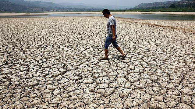 আফ্রিকা ও অস্ট্রেলিয়ার খরায় সম্পদের ক্ষতি হচ্ছে। ছবি: রয়টার্স