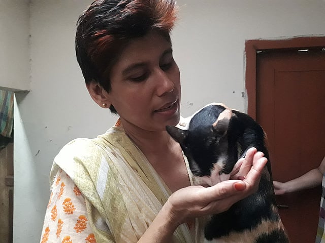 বিড়ালদের দেখভাল করে দিনের বেশির ভাগ সময়ই কাটে সাবিনার।