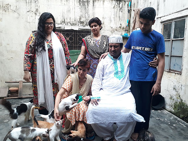 বিড়ালদের আশ্রয় দিয়ে পরিবারটি একধরনের প্রশান্তিও পায়।