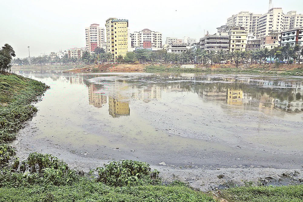 সোনারগাঁও হোটেলের পেছনে হাতিরঝিলে জমে আছে ময়লা–আবর্জনা। পুরো ঝিলের পানি দূষিত হয়ে পড়েছে। সম্প্রতি তোলা ছবি।  দীপু মালাকার