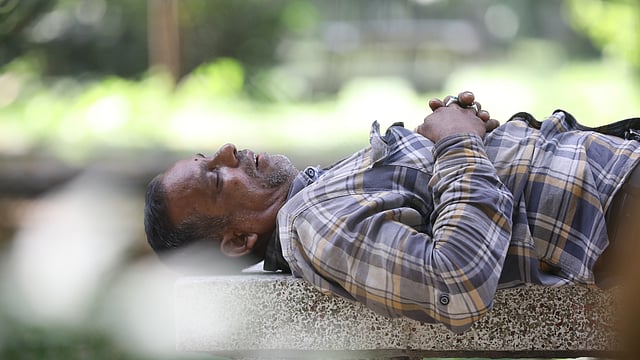 রমনা পার্কে গাছের ছায়ায় ঘুমিয়ে নিচ্ছেন একজন।