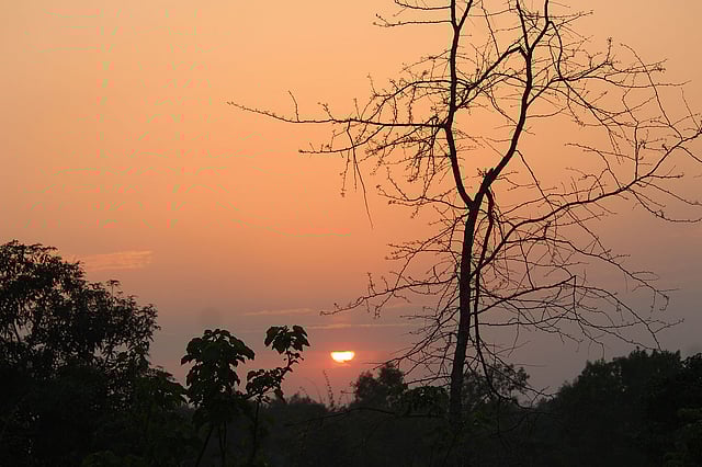 অস্তগামী সূর্যের আভা প্রকৃতিতে যেন ছড়িয়ে দিল বিষাদের সুর। মধুপুর, টাঙ্গাইল, সাম্প্রতিক ছবি। ছবি: তপতী বর্মন