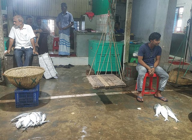 চাঁদপুরের বড়স্টেশন মাছঘাটে পড়ে আছে কয়েকটি ইলিশ। ছবি: আলম পলাশ