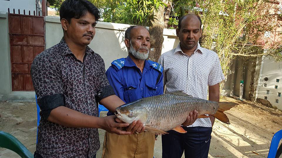 হালদা নদীতে অবৈধভাবে জাল ফেলে ধরা রুই মাছ জব্দ করা হয়েছে। হাটহাজারী, চট্টগ্রাম, ১ মে। ছবি: এইচ এম মনসুর আলী