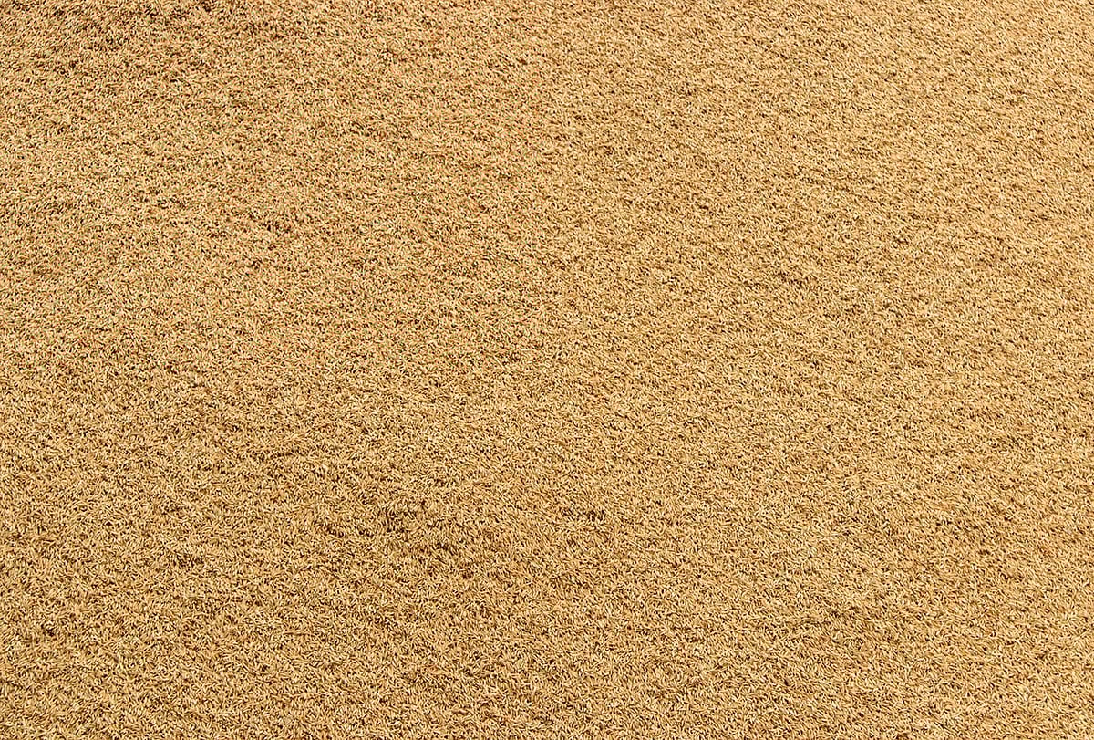 ধান কিনে হাটেই স্তূপ