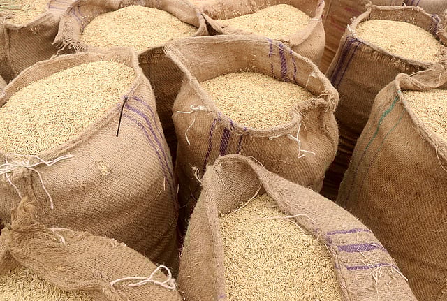 বিক্রির জন্য বস্তা ভরা ধান