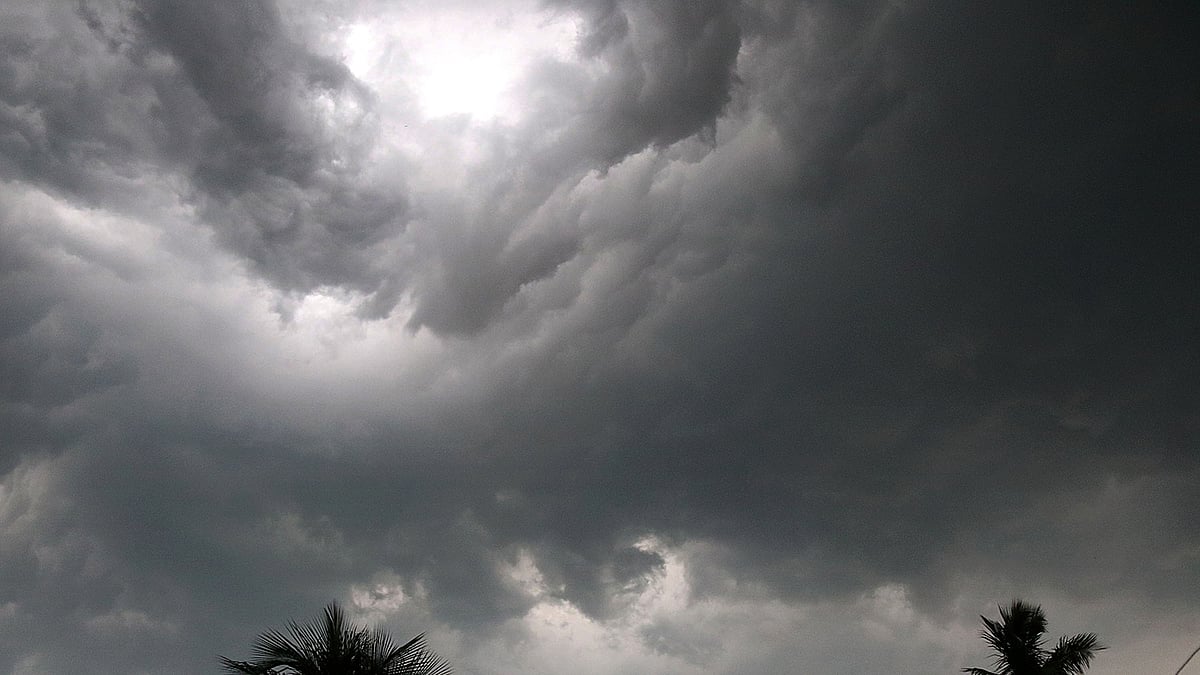 ফাইল ছবি