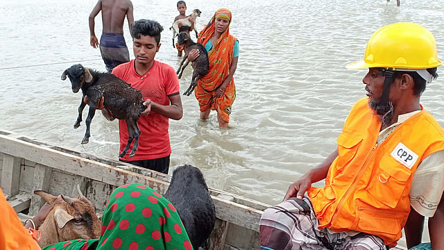চর কাসেমের লোকজন গোবাদিপশু নিয়ে ট্রলারে করে নিরাপদ স্থানে ছুটছেন। রাঙ্গাবালী, পটুয়াখালী। ছবি: প্রথম আলো