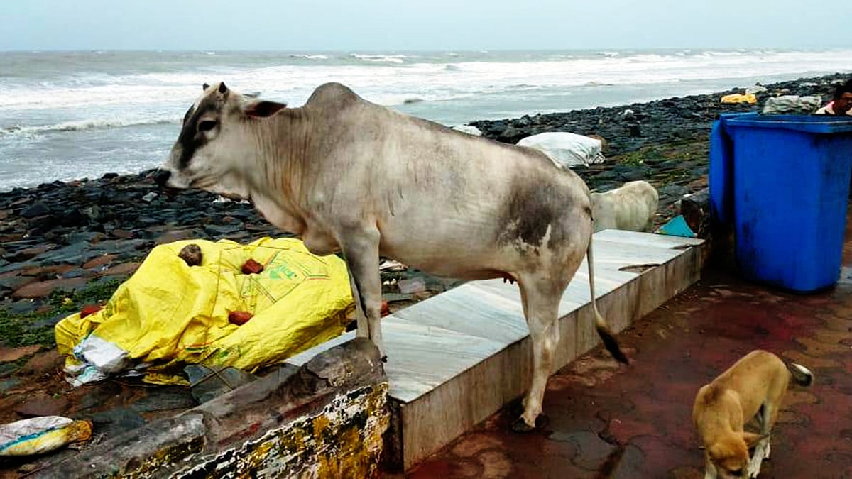 উত্তাল রয়েছে পূর্ব মেদিনীপুরের দীঘার সমুদ্র। ছবি: সংগৃহীত