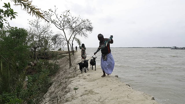 পোষা ছাগল নিয়ে আশ্রয়স্থলের দিকে। গোবরা, ঘাটাখালী, কয়রা, খুলনা। ছবি: শুভ্র কান্তি দাশ