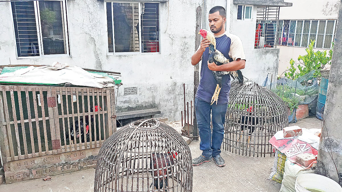 মগবাজারে নিজের বাড়ির ছাদে পোষা যোদ্ধা মোরগের সঙ্গে ইমতিয়াজউদ্দীন। ছবি: প্রথম আলো