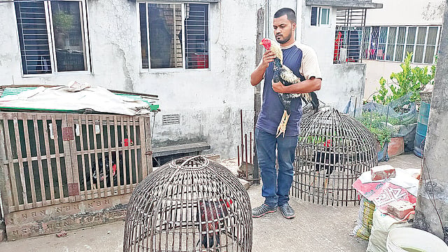 মগবাজারে নিজের বাড়ির ছাদে পোষা যোদ্ধা মোরগের সঙ্গে ইমতিয়াজউদ্দীন।  ছবি: প্রথম আলো