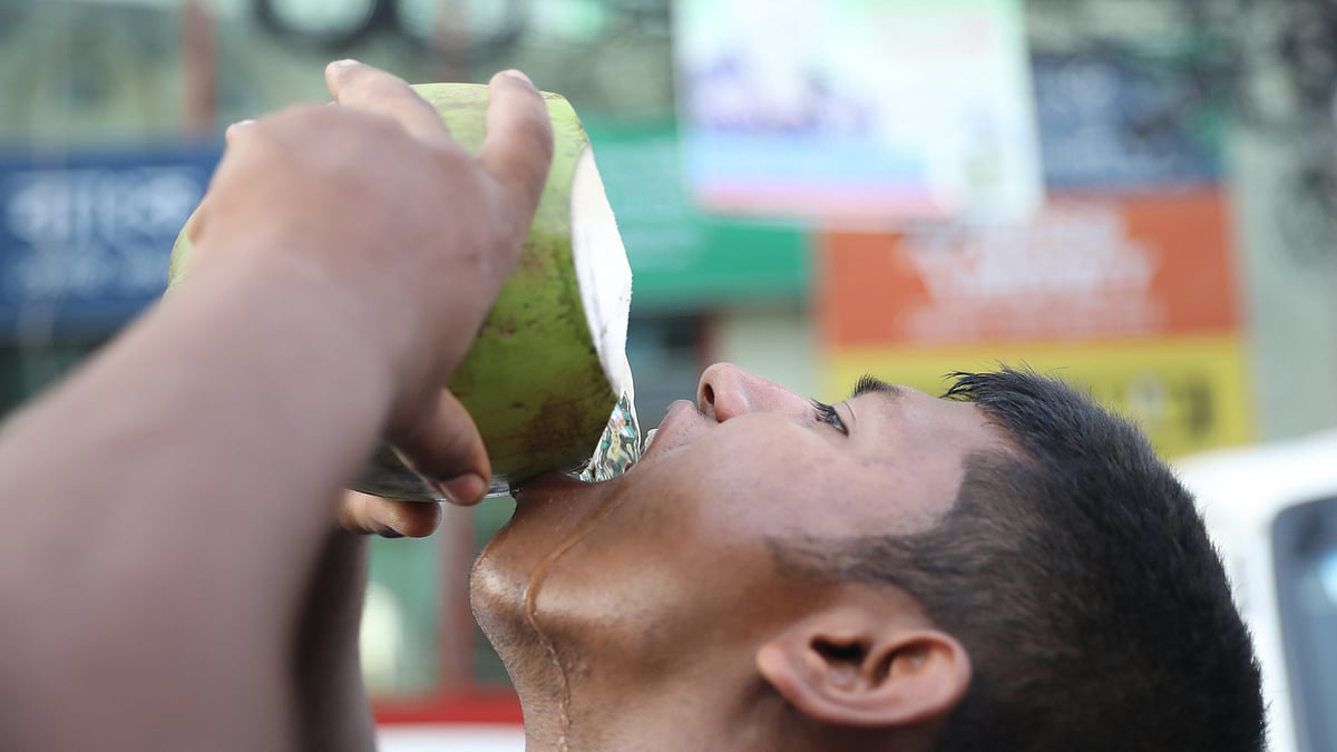 ফাইল ছবি