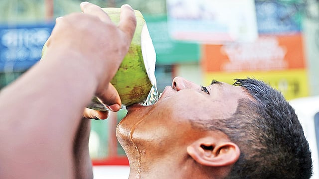 কাঠফাটা রোদে তৃষ্ণা মেটাতে অনেকেই চুমুক দেন ডাবে।  প্রথম আলো