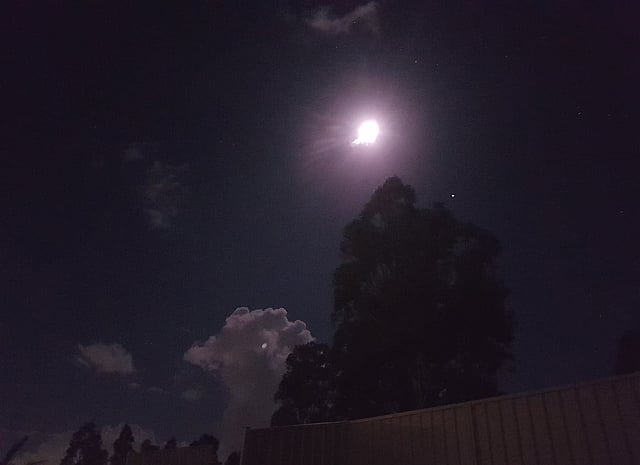 প্রতীকী ছবি