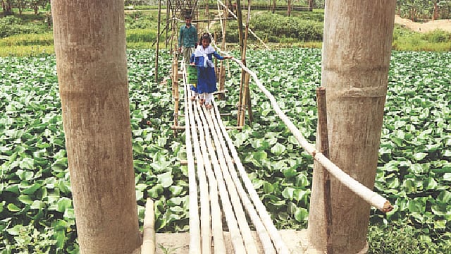 বগুড়ার শাজাহানপুর উপজেলার সুজাবাদ বালাপাড়া গ্রামের লোকজন ঝুঁকি নিয়ে বাঁশের সাঁকো পার হচ্ছে।  প্রথম আলো