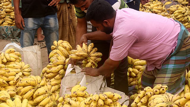 জমে উঠেছে কলা বেচাকেনা।