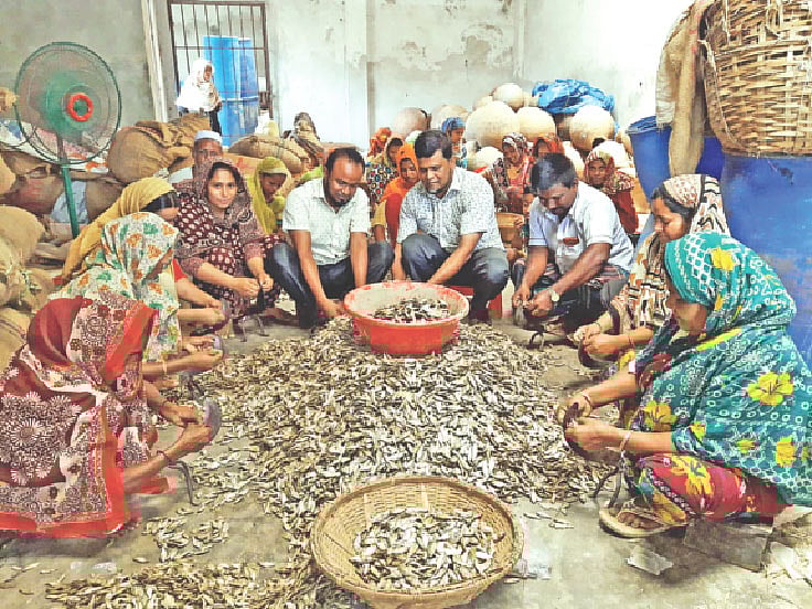 পুঁটি মাছের পেট ও লেজ কেটে শিদল তৈরির জন্য প্রস্তুত করা হচ্ছে। গত শুক্রবার কুমিল্লার দাউদকান্দি উপজেলার পেন্নাই গ্রামে।  ছবি: প্রথম আলো