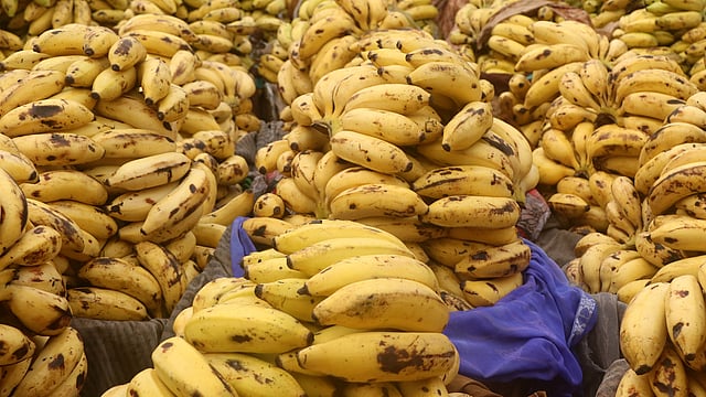 কলা কিনে নিয়ে যাচ্ছেন পাইকাররা।