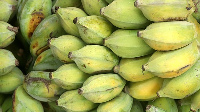 বিক্রির জন্য সাজিয়ে রাখা হয়েছে বিভিন্ন ধরনের কলা।