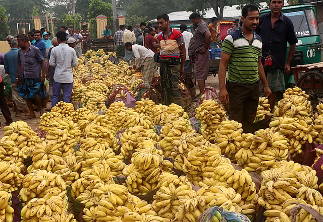 বগুড়া শহরের চেলোপাড়া চাষিবাজার–সংলগ্ন কলার বাজারে ব্যাপক আমদানি। পাইকারি দরে প্রতি পণ কলা ৫০০ থেকে ৭০০ টাকায় বিক্রি হচ্ছে। সেগুলো খুচরা বাজারে বিক্রি হচ্ছে ৪০ থেকে ৫০ টাকায়।
