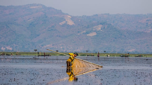 হাওরের মানুষের প্রধান জীবিকা মাছ ধরা