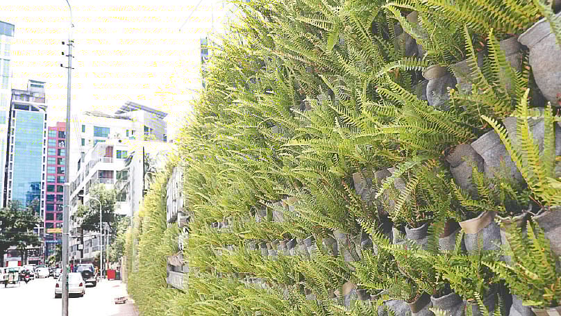 এই বেষ্টনী র‌্যাংগ্স প্রপার্টিজের নির্মাণাধীন এক ভবনের। ফার্নের সবুজ সমারোহ প্রশান্তি এনে দেয়।  ছবি: খালেদ সরকার