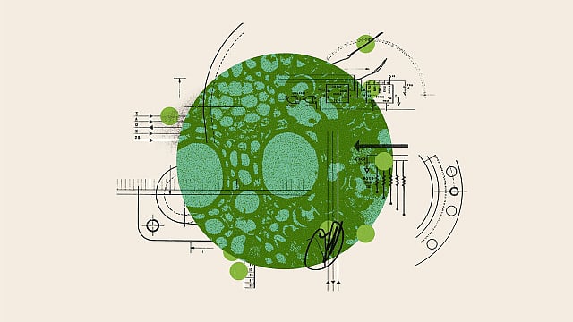 জৈব প্রযুক্তির হাত ধরে বহু শিল্পোৎপাদনের প্রক্রিয়া বদলে গেছে। বিশেষত ওষুধশিল্পে রীতিমতো বিপ্লব ঘটে গেছে। ছবি: সংগৃহীত