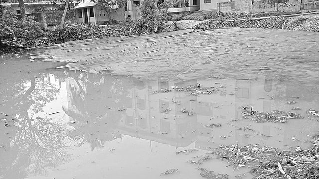 প্রশাসনের অনুমতি ছাড়া ভরাট করা হচ্ছে পুকুর। গতকাল দুপুরে চাঁদপুরের মতলব দক্ষিণ উপজেলার কলাদী এলাকায়।  ছবি: প্রথম আলো