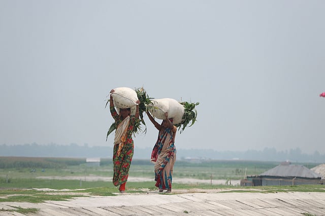 জমিতে কাজ শেষে ফিরছেন দুই নারী শ্রমিক। ইচলি,গঙ্গাচড়া, রংপুর ।