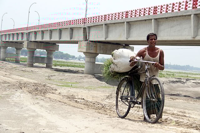 বালুচরে সাইকেল ঠেলে ঘাস নিয়ে ফিরছেন তিনি। মহিপুর,গঙ্গাচড়া, রংপুর।