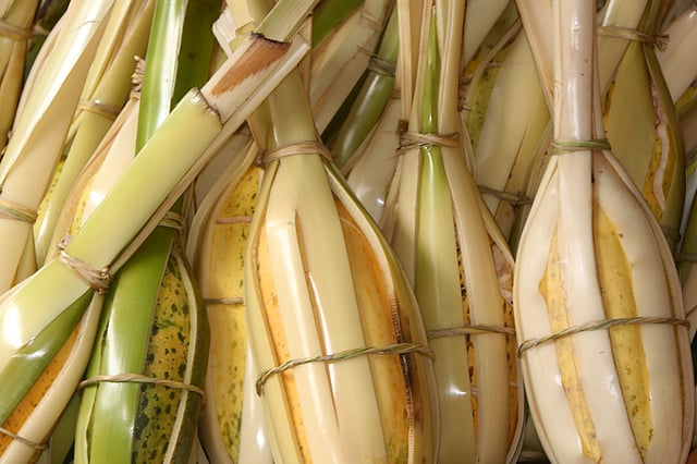 শহরের বিক্রির জন্য প্রস্তুত পাকা বাঙ্গি। আকারভেদে প্রতিটি বাঙ্গি ৪০ থেকে ১০০ টাকায় বিক্রি হয়