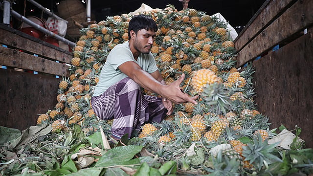 খাগড়াছড়ি থেকে আসা ১০০ জলডুবি আনারসের পাইকারি দাম ৬০০ থেকে ৩ হাজার ৫০০ টাকা পর্যন্ত।