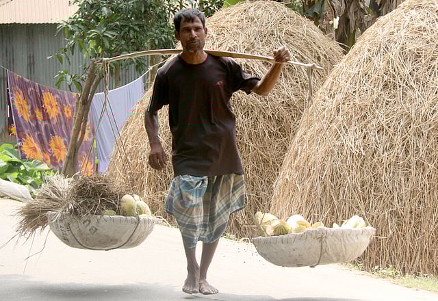 বিক্রির জন্য নেওয়া হচ্ছে বাজারে