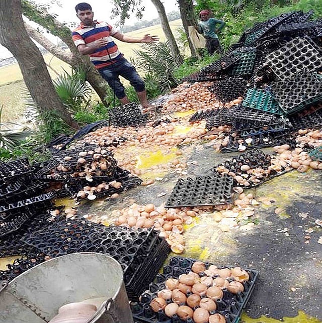 নাটোরের বনপাড়ায় আগ্রাণ সুতিরপাড় এলাকায় বনপাড়া-হাটিকুমরুল মহাসড়কে পড়ে থাকা ডিম। ছবি: প্রথম আলো