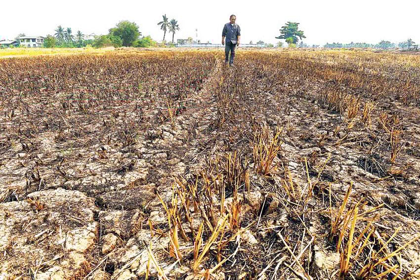 ছবি: এএফপি