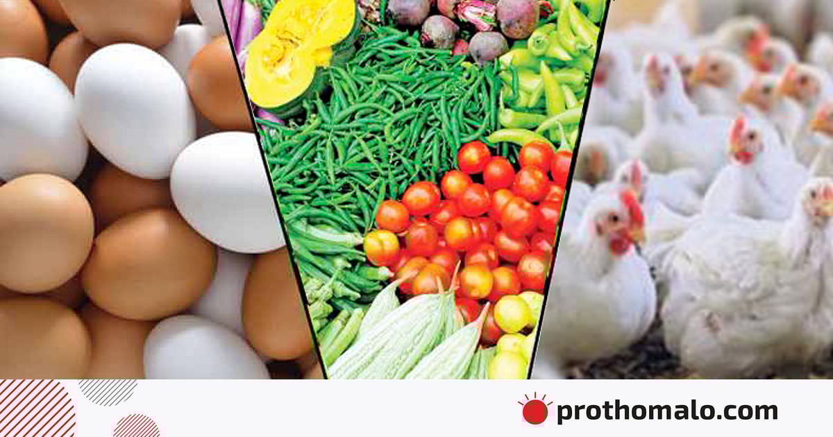 ডিমের দাম এখনো চড়া, ডজন ১৩০–১৪০ টাকা