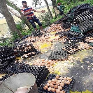 নাটোরের বনপাড়ায় আগ্রাণ সুতিরপাড় এলাকায় বনপাড়া-হাটিকুমরুল মহাসড়কে পড়ে থাকা ডিম (ফাইল ছবি)