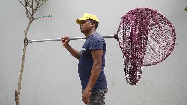 এই জাল দিয়ে ধরা হয় সড়কের বেওয়ারিশ কুকুর।