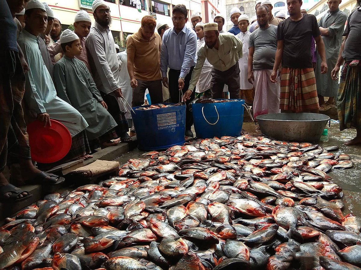 যাত্রাবাড়ী মাছের আড়তে ১৫ মে বিক্রি হচ্ছিল পিরানহা। পরে মৎস্য অধিদপ্তর ও র‌্যাবের ভ্রাম্যমাণ আদালত তা জব্দ করেন।  ছবি: প্রথম আলো