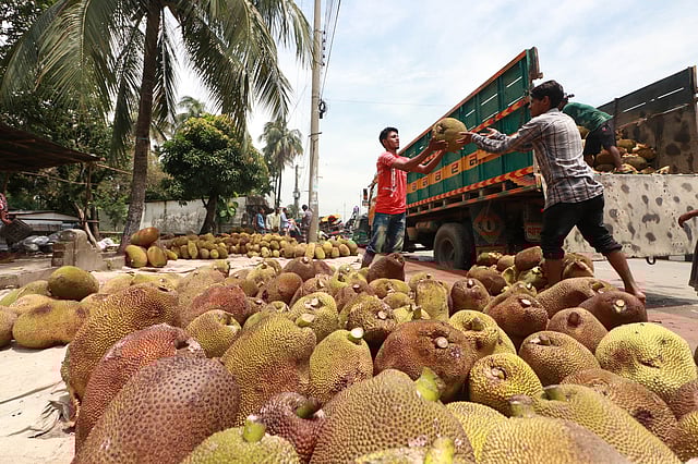বাজারে পাহাড়-টিলার কাঁঠালের কদরও বেশ
