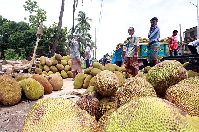 অস্থায়ী ’কাঁঠালের হাট’